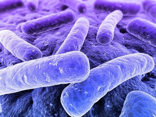 علامات وأعراض وعلاج مشكلة نقص البكتيريا النافعة في الجسم 