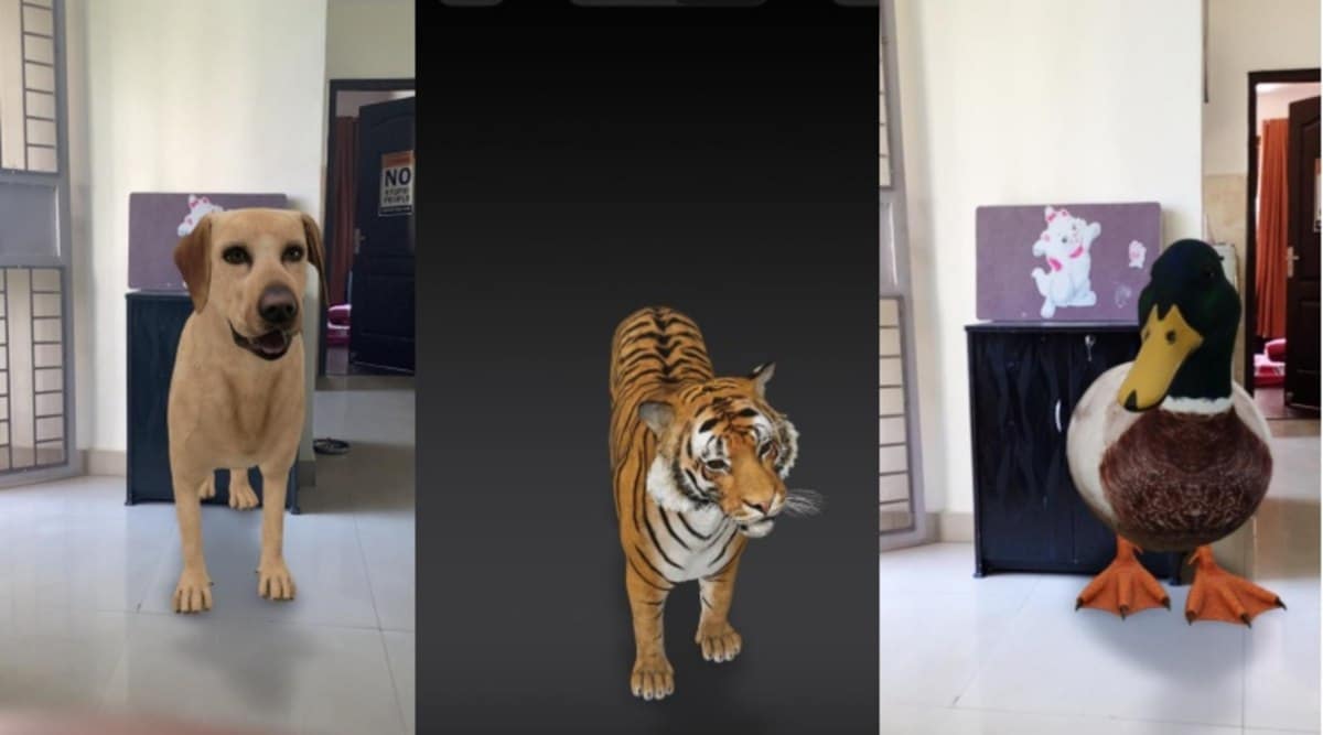 جوجل وطريقة عرض الواقع المعزز للحيوانات 3D في غرفتك