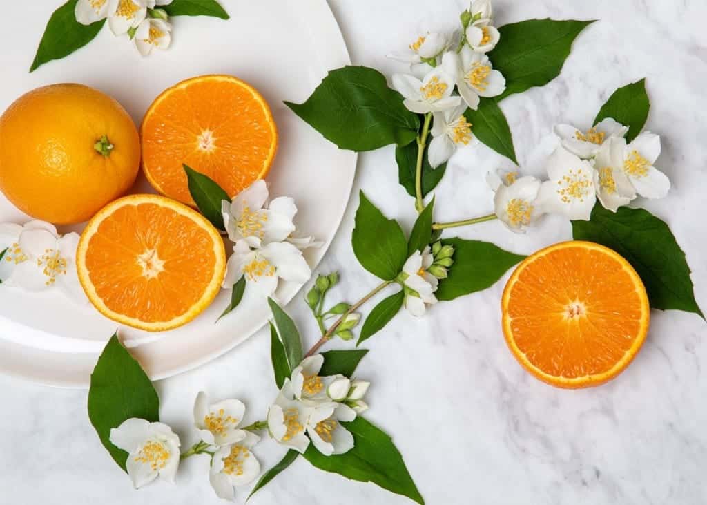 فوائد زهر البرتقال لتقطير ماء الزهر 