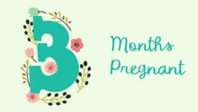 الشهر الثالث من الحمل