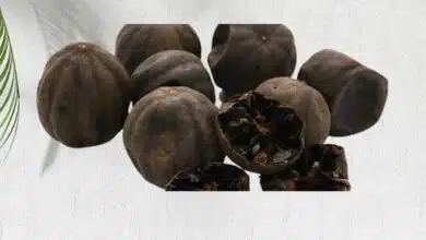 فوائد الليمون الاسود