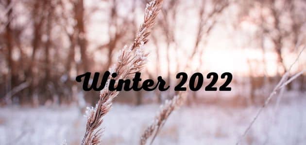 متى يبدأ فصل الشتاء 2022