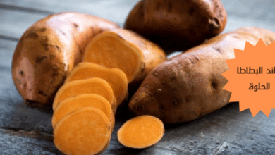 فوائد البطاطا الحلوة