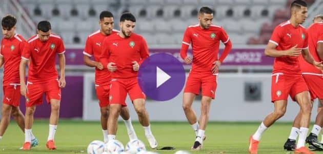 مشاهدة بث مباشر ماتش بلجيكا ضد المغرب كاس العالم قطر