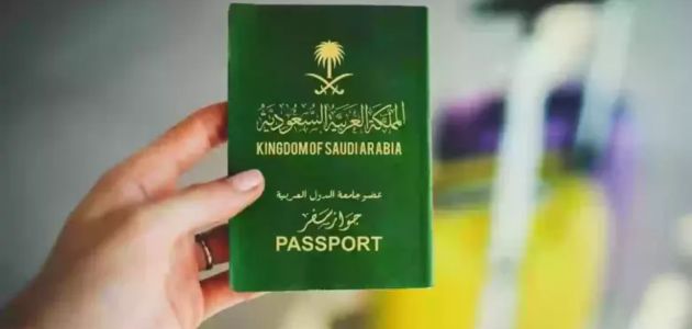 ،أنواع تأشيرات الدخول للمملكة